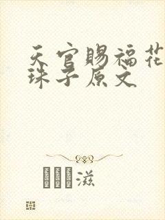 天官赐福花怜塞珠子原文