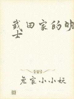 武田家的明国武士