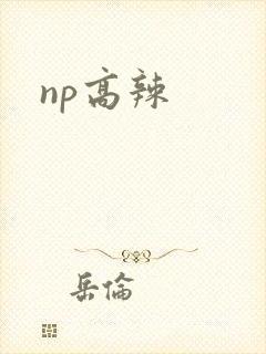 np高辣