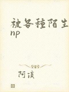 被各种陌生人 np