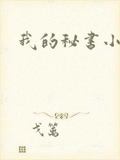 我的秘书小姐