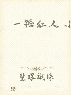一号红人 小说
