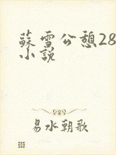 苏雪公憩28篇小说