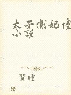 太子侧妃傻乎乎小说