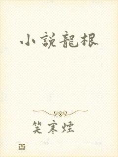 小说龙根