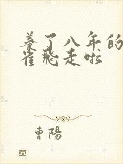 养了八年的金丝雀飞走啦