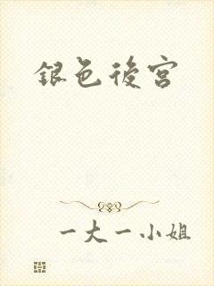 银色后宫