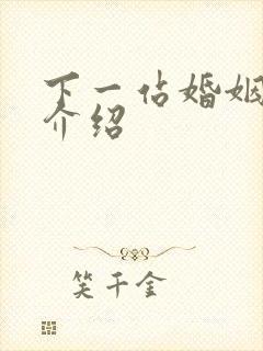 下一站婚姻剧情介绍