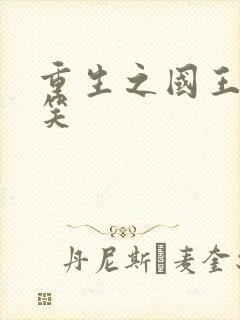 重生之国王的微笑