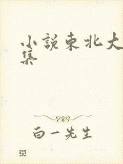 小说东北大炕全集