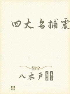 四大名捕震关东