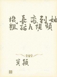 机长脔到她哭h粗话h视频