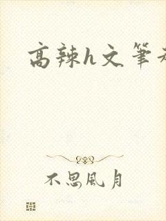 高辣h文笔趣阁