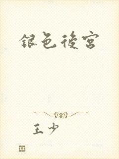 银色后宫
