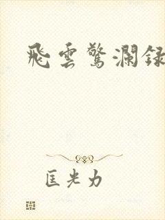 飞云惊澜录
