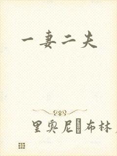 一妻二夫
