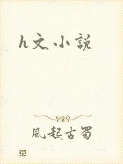 h文小说