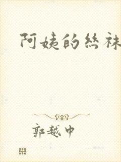 阿姨的丝袜小说