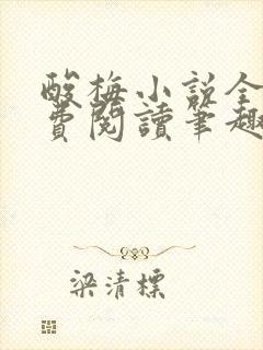 酸梅小说全文免费阅读笔趣阁