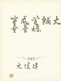 穿成首辅大人的童养媳