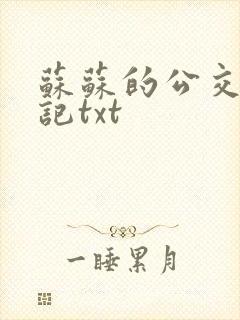 苏苏的公交车日记txt