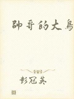 帅哥的大鸟