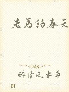 老马的春天敏静