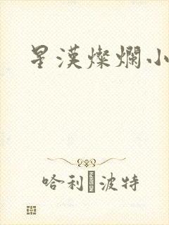 星汉灿烂小说