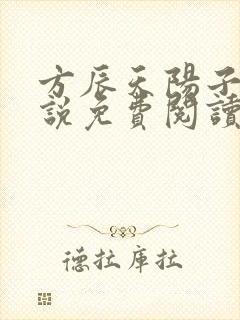 方辰天阳子的小说免费阅读