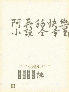 阿兵的快乐生活小说 全章节阅读免费