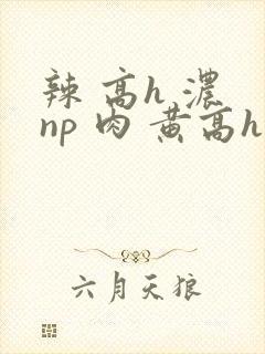辣 高h 浓 np 肉 黄高h