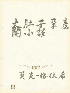 大肚子孕产笔趣阁小说