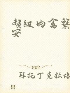 超级肉禽系统保安