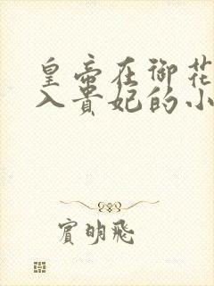 皇帝在御花园进入贵妃的小说