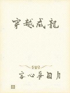 穿越成龙