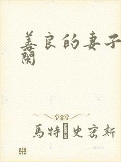 善良的妻子王晓兰