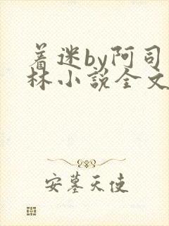 着迷by阿司匹林小说全文免费阅读无广告