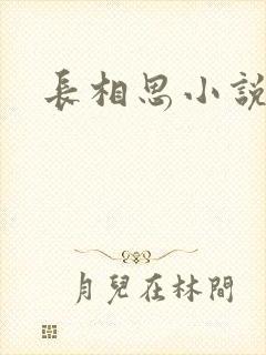 长相思小说原著