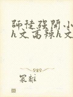 师徒强开小嫩苞h文高辣h文