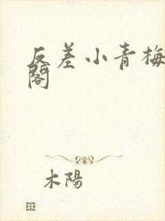 反差小青梅笔趣阁