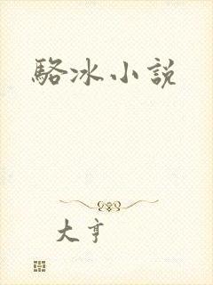 骆冰小说