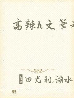 高辣h文笔趣阁