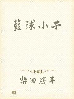 篮球小子