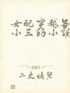 女配穿越各个做小三的小说