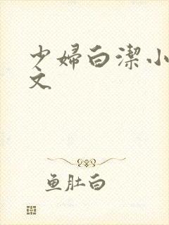 少妇白洁小说全文