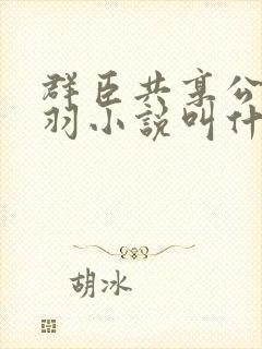 群臣共享公主银羽小说叫什么