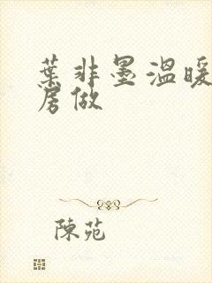 叶非墨温暖在厨房做