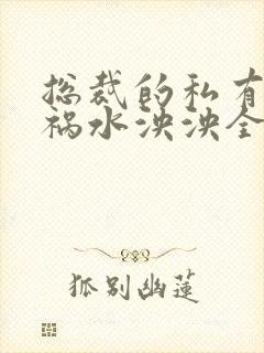 总裁的私有宝贝祸水泱泱全文阅读