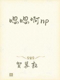 嗯嗯啊np