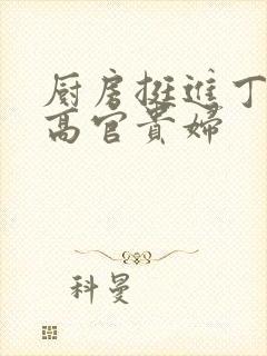 厨房挺进丁字裤高官贵妇